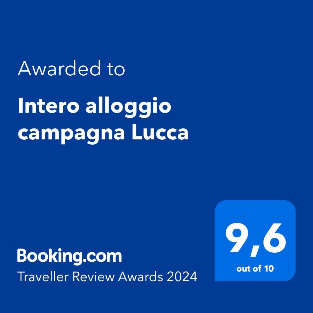 Intero Campagna Lucca Capannori