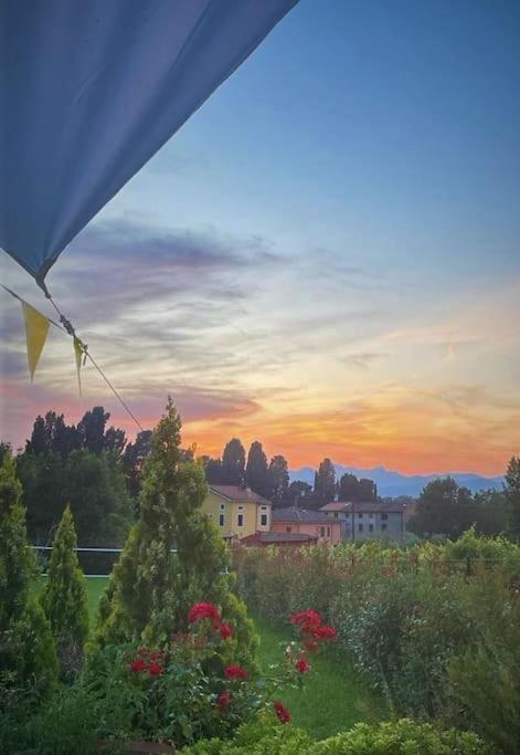 Intero Campagna Lucca *